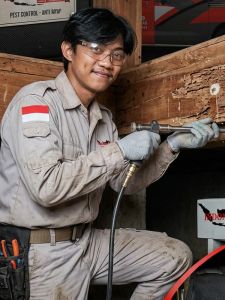 Indonesian pest, anti rayap, Basmi Hama, Basmi Rayap, Disinfection Treatment, Disinfektan, fogging, Fogging Nyamuk, fumigasi, Jasa Anti Rayap, Jasa Anti Rayap di Bekasi, Jasa Anti Rayap di Bogor, Jasa Anti Rayap di Depok, Jasa Anti Rayap di Jakarta, Jasa Anti Rayap di Jakarta Barat, Jasa Anti Rayap di Jakarta Pusat, Jasa Anti Rayap di Jakarta Selatan, Jasa Anti Rayap di Jakarta Timur, Jasa Anti Rayap di Jakarta Utara, Jasa Anti Rayap di Tangerang, Jasa Anti Rayap di Tangerang Selatan, Jasa Anti Rayap Pasca Konstruksi, Jasa Anti Rayap Pra Konstruksi, Jasa Basmi Hama, Jasa Basmi Rayap, Jasa Disinfektan, Jasa Fogging, Jasa Fogging di Bekasi, Jasa Fogging di Bogor, Jasa Fogging di Depok, Jasa Fogging di Jakarta, Jasa Fogging di Jakarta Barat, Jasa Fogging di Jakarta Pusat, Jasa Fogging di Jakarta Selatan, Jasa Fogging di Jakarta Timur, Jasa Fogging di Jakarta Utara, Jasa Fogging di Tangerang, Jasa Fogging di Tangerang Selatan, Jasa Fogging Gudang, Jasa Fogging Hotel, Jasa Fogging Kantor, Jasa Fogging Komplek, Jasa Fogging Mall, Jasa Fogging Nyamuk, Jasa Fogging Nyamuk DBD, Jasa Fogging Pabrik, Jasa Fogging Perumahan, Jasa Fogging Restoran, Jasa Fogging Rumah, Jasa Fogging Rumah Sakit, Jasa Fumigasi, Jasa Pembasmi Hama, jasa pembasmi kecoa, jasa pembasmi kutu busuk, jasa pembasmi lalat, jasa pembasmi nyamuk, Jasa Pembasmi Rayap, jasa pembasmi semut, jasa pembasmi tawon, jasa pembasmi tikus, jasa pembasmi tungau, jasa pembasmi ular, jasa pest control, Jasa Pest Control Cafe, Jasa Pest Control Hotel, Jasa Pest Control Kantor, Jasa Pest Control Rayap, Jasa Pest Control Restoran, Jasa Pest Control Rumah Sakit, Layanan Pembasmian Hama, Pembasmi Rayap, Pembasmian Hama, Pembasmian Hewan Liar Umum, Pembasmian Kecoa, Pembasmian Kutu & Tungau, Pembasmian Kutu Tempat Tidur (Kutu Busuk), Pembasmian Laba-laba, Pembasmian Lebah, Pembasmian Nyamuk, Pembasmian Rayap, Pembasmian Semut, Pembasmian Serangga & Kutu, Pembasmian Tikus, Pemeriksaan Hama Umum, Pemeriksaan Rayap, Pemeriksaan Rumah, Pest Control, Pest Control Rayap, Pest Control Rumah Sakit, Jasa Anti Rayap Perumahan, Jasa Anti Rayap Rumah, Jasa Anti Rayap Kantor, Jasa Anti Rayap Hotel, Jasa Anti Rayap Restoran, Jasa Anti Rayap Gudang, Jasa Anti Rayap Pabrik, Jasa Anti Rayap Bangunan, Termite Control, Termite Control Services, Termite Treatment, General Pest Control, Rat Control, Cockroach Control, Bed Bug Control, Mosquito Control, Snake Control, Insect Control, Thermal Fogging, Soil Treatment, Disinfection Treatment, Residential Pest Control Service, House Pest Control Service, Office Pest Control Service, Factory Pest Control