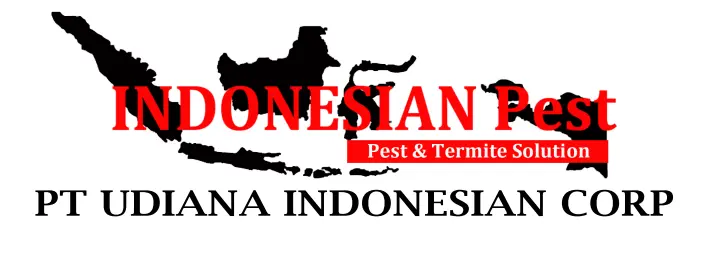 anti rayap, Basmi Hama, Basmi Rayap, Disinfection Treatment, Disinfektan, fogging, Fogging Nyamuk, fumigasi, Jasa Anti Rayap, Jasa Anti Rayap di Bekasi, Jasa Anti Rayap di Bogor, Jasa Anti Rayap di Depok, Jasa Anti Rayap di Jakarta, Jasa Anti Rayap di Jakarta Barat, Jasa Anti Rayap di Jakarta Pusat, Jasa Anti Rayap di Jakarta Selatan, Jasa Anti Rayap di Jakarta Timur, Jasa Anti Rayap di Jakarta Utara, Jasa Anti Rayap di Tangerang, Jasa Anti Rayap di Tangerang Selatan, Jasa Anti Rayap Pasca Konstruksi, Jasa Anti Rayap Pra Konstruksi, Jasa Basmi Hama, Jasa Basmi Rayap, Jasa Disinfektan, Jasa Fogging, Jasa Fogging di Bekasi, Jasa Fogging di Bogor, Jasa Fogging di Depok, Jasa Fogging di Jakarta, Jasa Fogging di Jakarta Barat, Jasa Fogging di Jakarta Pusat, Jasa Fogging di Jakarta Selatan, Jasa Fogging di Jakarta Timur, Jasa Fogging di Jakarta Utara, Jasa Fogging di Tangerang, Jasa Fogging di Tangerang Selatan, Jasa Fogging Gudang, Jasa Fogging Hotel, Jasa Fogging Kantor, Jasa Fogging Komplek, Jasa Fogging Mall, Jasa Fogging Nyamuk, Jasa Fogging Nyamuk DBD, Jasa Fogging Pabrik, Jasa Fogging Perumahan, Jasa Fogging Restoran, Jasa Fogging Rumah, Jasa Fogging Rumah Sakit, Jasa Fumigasi, Jasa Pembasmi Hama, jasa pembasmi kecoa, jasa pembasmi kutu busuk, jasa pembasmi lalat, jasa pembasmi nyamuk, Jasa Pembasmi Rayap, jasa pembasmi semut, jasa pembasmi tawon, jasa pembasmi tikus, jasa pembasmi tungau, jasa pembasmi ular, jasa pest control, Jasa Pest Control Cafe, Jasa Pest Control Hotel, Jasa Pest Control Kantor, Jasa Pest Control Rayap, Jasa Pest Control Restoran, Jasa Pest Control Rumah Sakit, Layanan Pembasmian Hama, Pembasmi Rayap, Pembasmian Hama, Pembasmian Hewan Liar Umum, Pembasmian Kecoa, Pembasmian Kutu & Tungau, Pembasmian Kutu Tempat Tidur (Kutu Busuk), Pembasmian Laba-laba, Pembasmian Lebah, Pembasmian Nyamuk, Pembasmian Rayap, Pembasmian Semut, Pembasmian Serangga & Kutu, Pembasmian Tikus, Pemeriksaan Hama Umum, Pemeriksaan Rayap, Pemeriksaan Rumah, Pest Control, Pest Control Rayap, Pest Control Rumah Sakit, Jasa Anti Rayap Perumahan, Jasa Anti Rayap Rumah, Jasa Anti Rayap Kantor, Jasa Anti Rayap Hotel, Jasa Anti Rayap Restoran, Jasa Anti Rayap Gudang, Jasa Anti Rayap Pabrik, Jasa Anti Rayap Bangunan, Termite Control, Termite Control Services, Termite Treatment, General Pest Control, Rat Control, Cockroach Control, Bed Bug Control, Mosquito Control, Snake Control, Insect Control, Thermal Fogging, Soil Treatment, Disinfection Treatment, Residential Pest Control Service, House Pest Control Service, Office Pest Control Service, Factory Pest Control